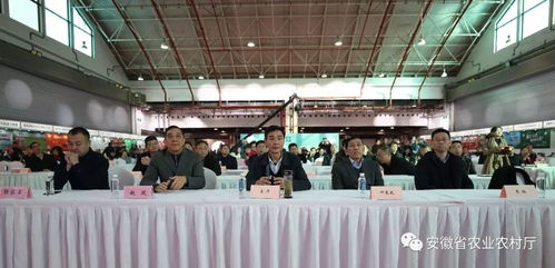 2019上海休閑農(nóng)業(yè)推介簽約活動(dòng)在滬成功舉辦，安徽名優(yōu)農(nóng)產(chǎn)品閃耀申城